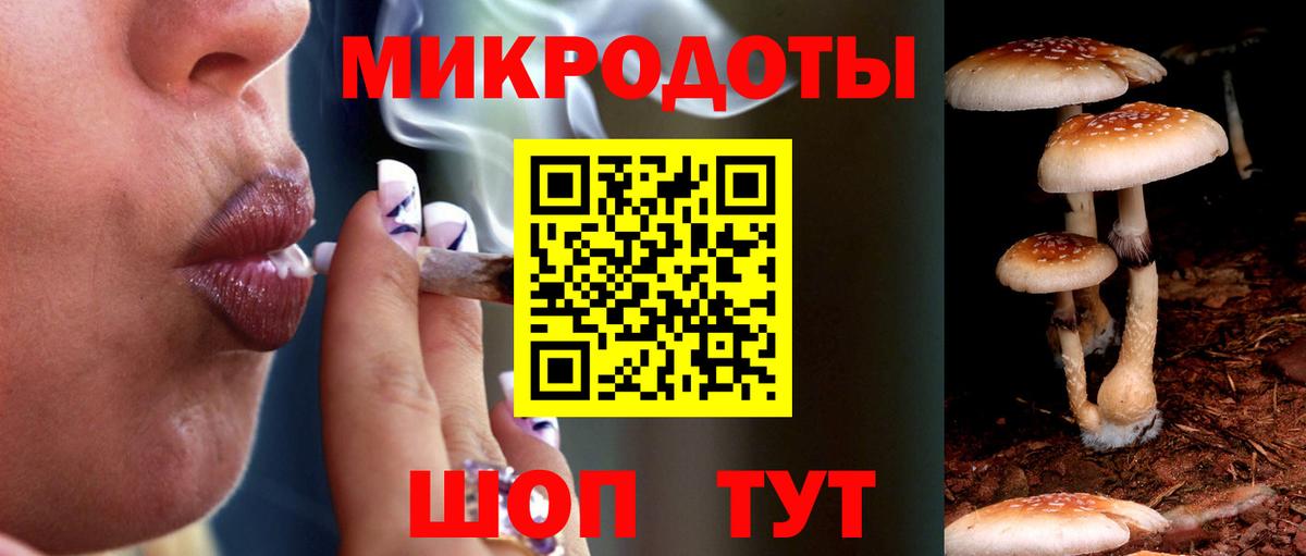 Псилоцибиновые грибы прущие грибы  Вход с VPN  Холмск 
